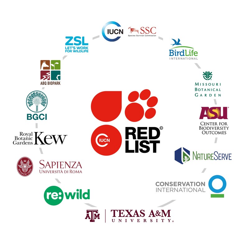 Red List of Threatened Species
