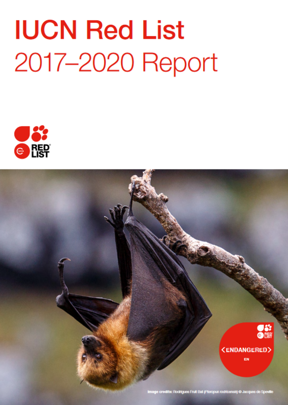 Birds and the Red List: IUCN Red List update 2020